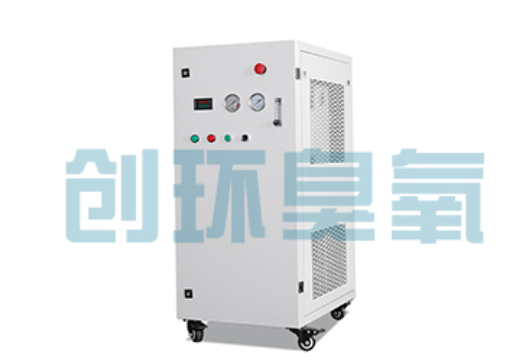钦州石斑鱼养殖水质调控完整指南：臭氧发生器配置与操作步骤