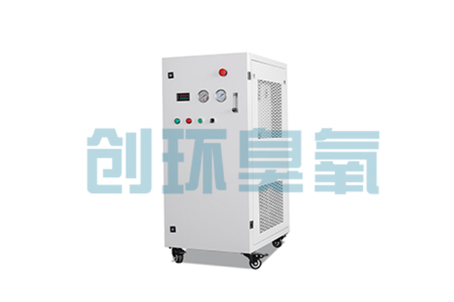 钦州比传统换水更高效？臭氧发生器在石斑鱼养殖中的水质净化原理解析